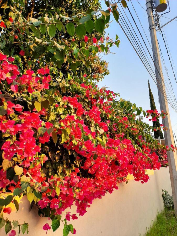 Casa Vista Hermosa エクステリア 写真