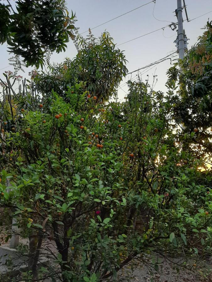 Casa Vista Hermosa エクステリア 写真